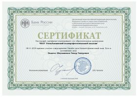 Достижения