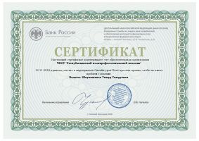 Достижения