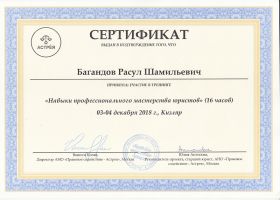 Достижения