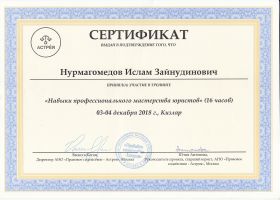 Достижения