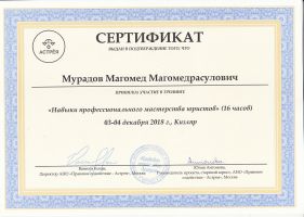 Достижения
