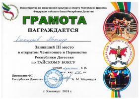 Достижения