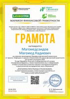 Достижения